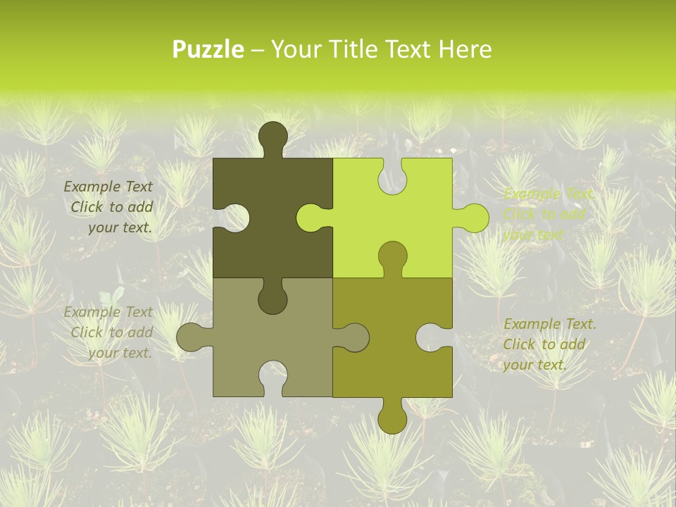 Life Development Gain PowerPoint Template