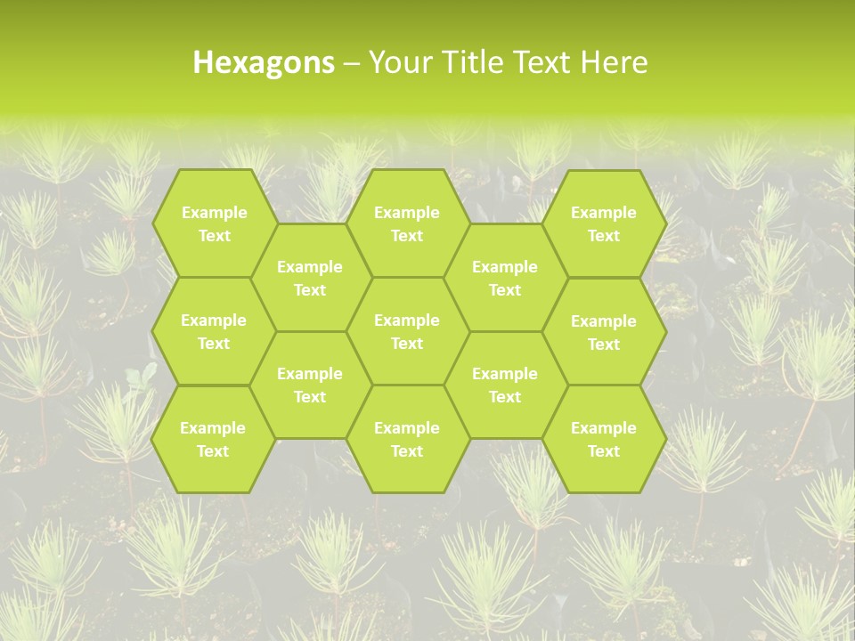 Life Development Gain PowerPoint Template