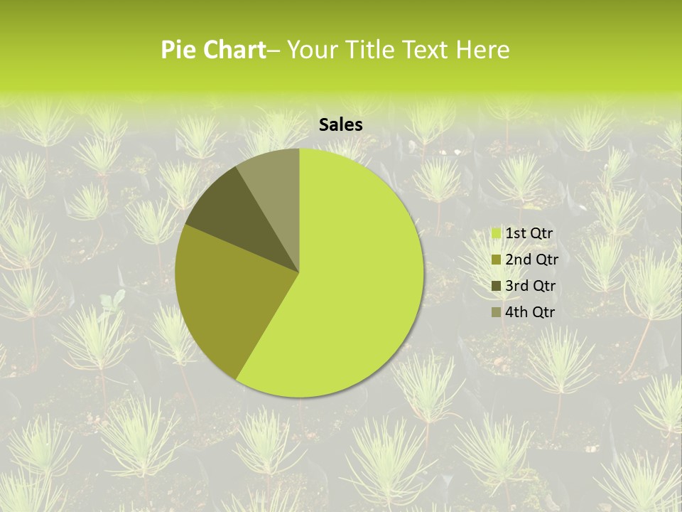 Life Development Gain PowerPoint Template
