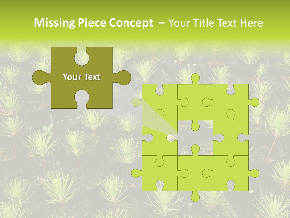 Life Development Gain PowerPoint Template