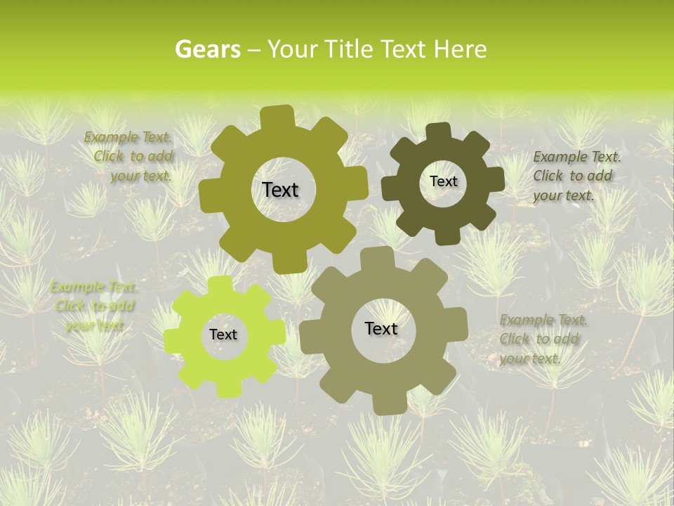 Life Development Gain PowerPoint Template