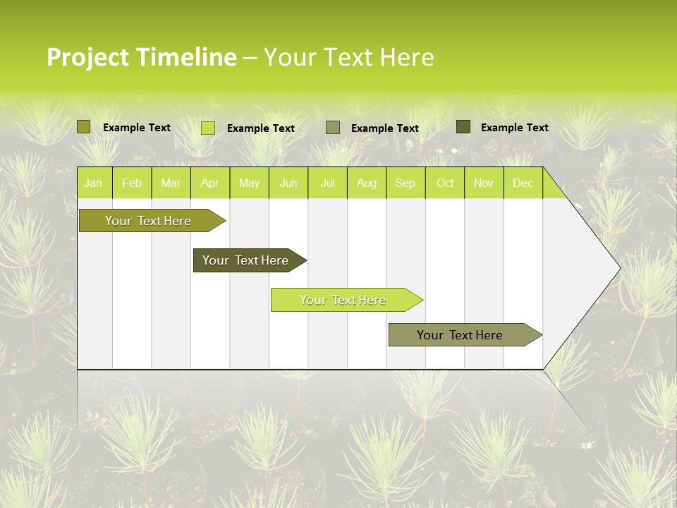 Life Development Gain PowerPoint Template