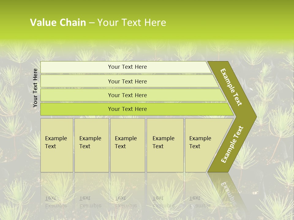 Life Development Gain PowerPoint Template