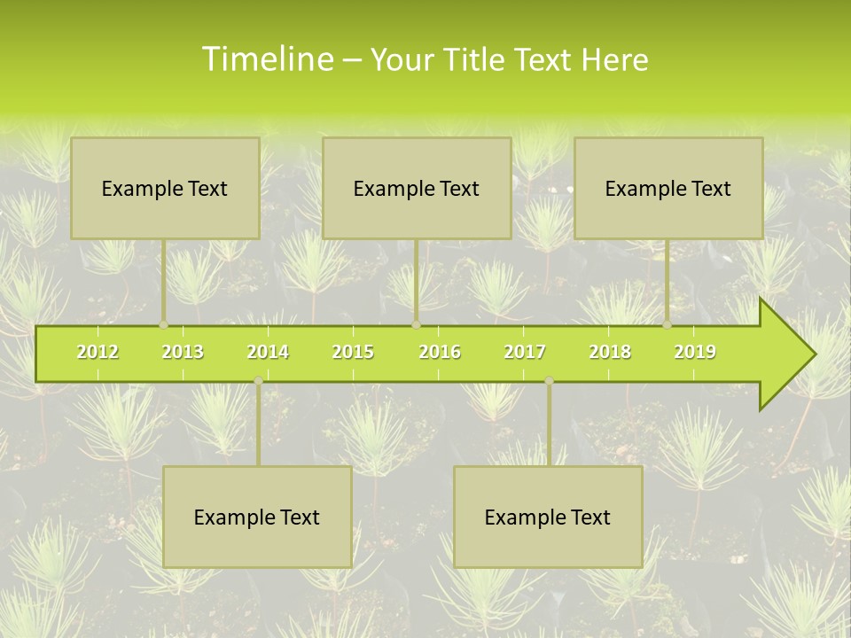 Life Development Gain PowerPoint Template