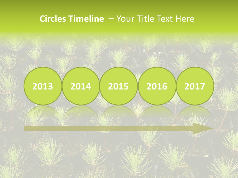 Life Development Gain PowerPoint Template