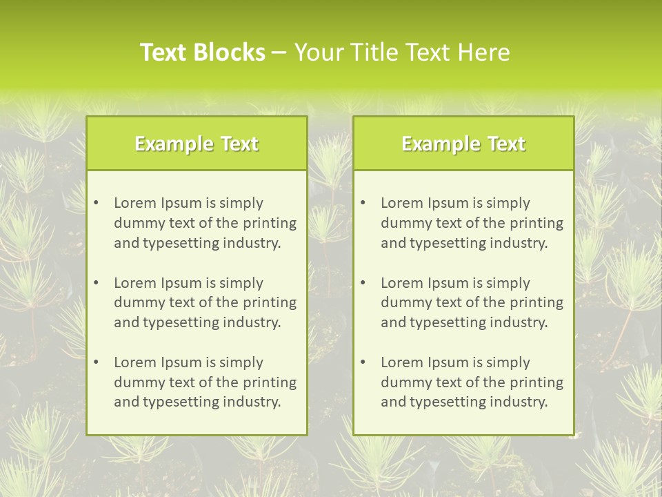 Life Development Gain PowerPoint Template