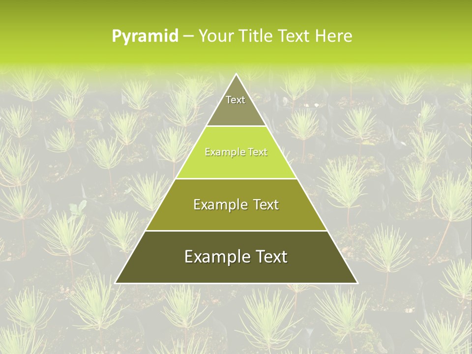 Life Development Gain PowerPoint Template