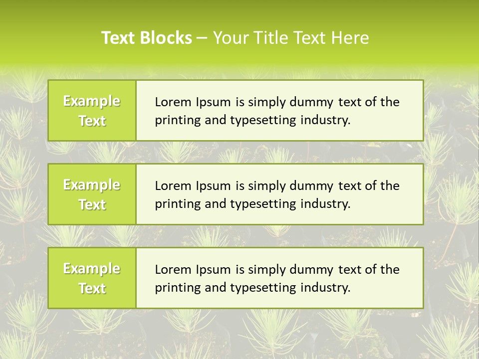 Life Development Gain PowerPoint Template