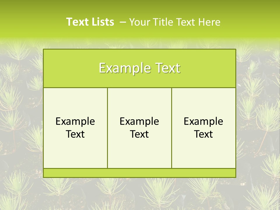 Life Development Gain PowerPoint Template