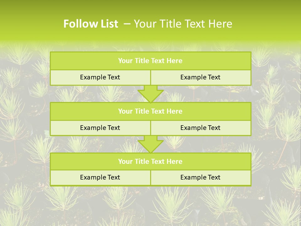 Life Development Gain PowerPoint Template