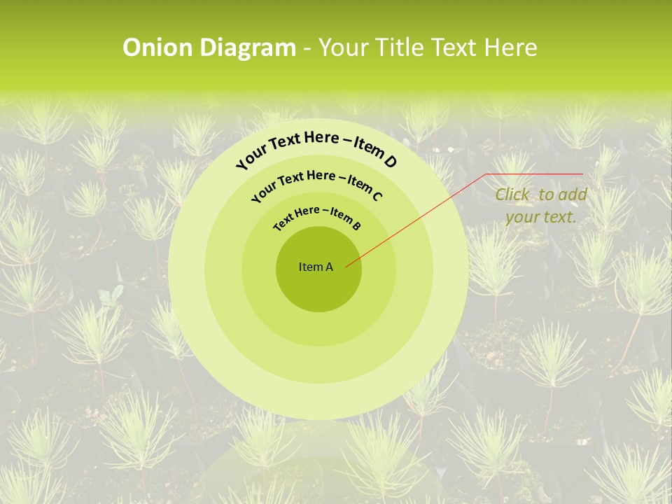 Life Development Gain PowerPoint Template