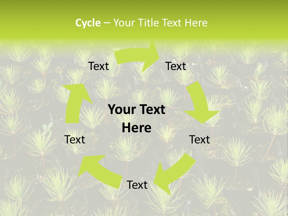 Life Development Gain PowerPoint Template