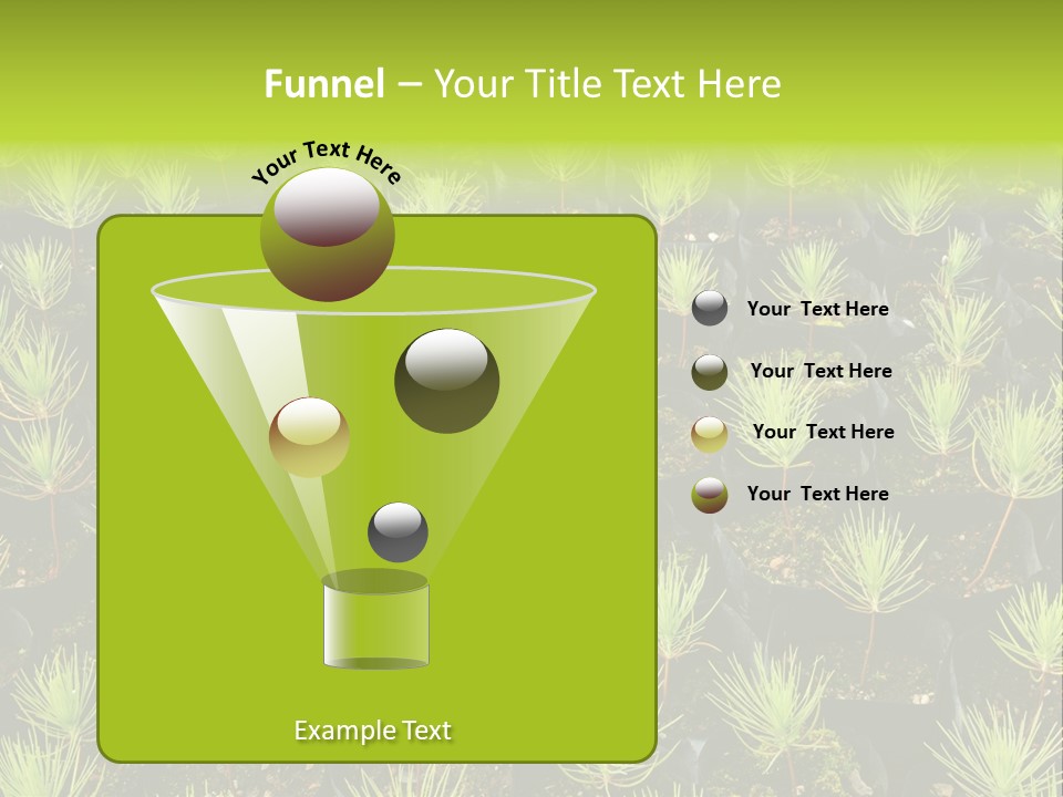 Life Development Gain PowerPoint Template