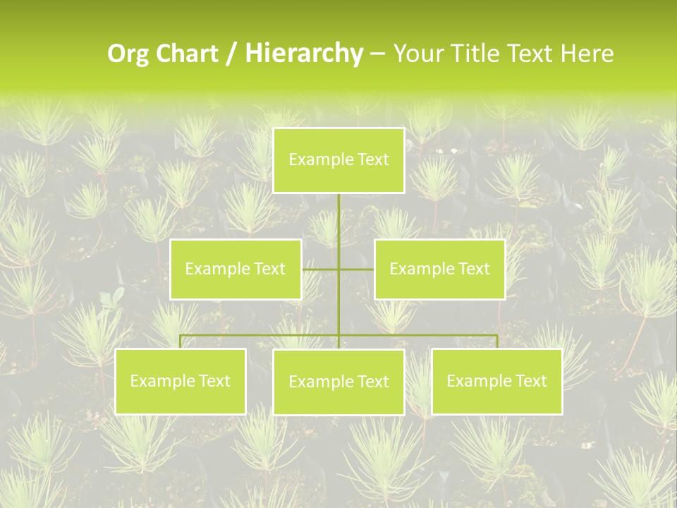 Life Development Gain PowerPoint Template