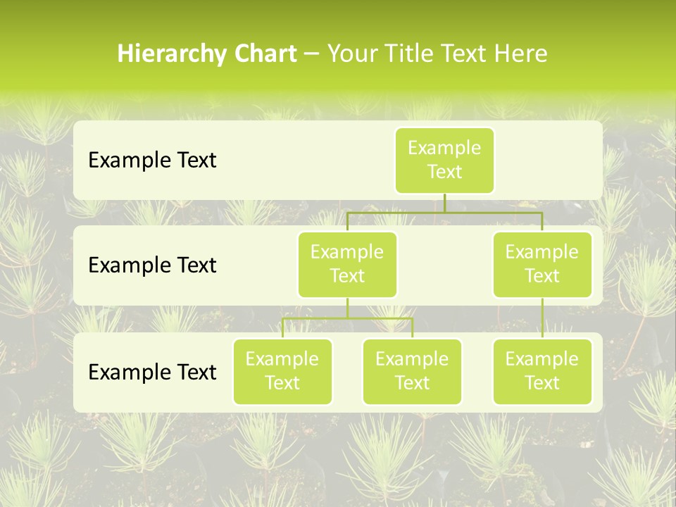 Life Development Gain PowerPoint Template
