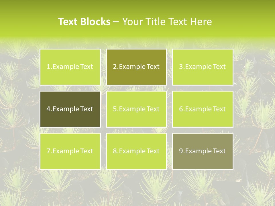 Life Development Gain PowerPoint Template