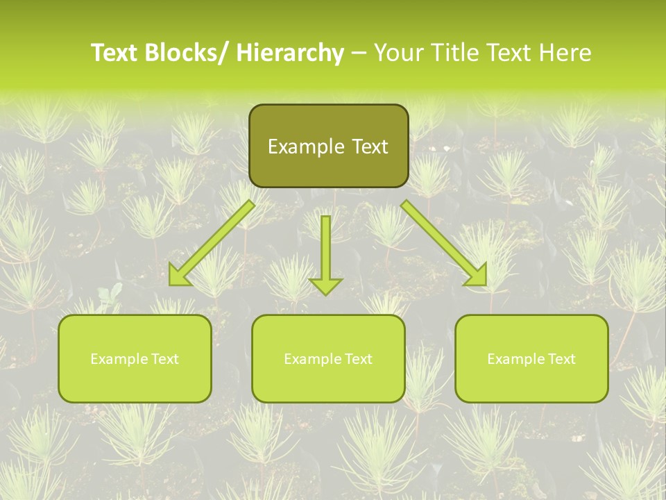 Life Development Gain PowerPoint Template