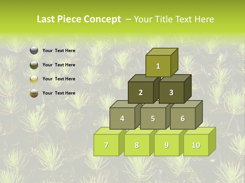 Life Development Gain PowerPoint Template