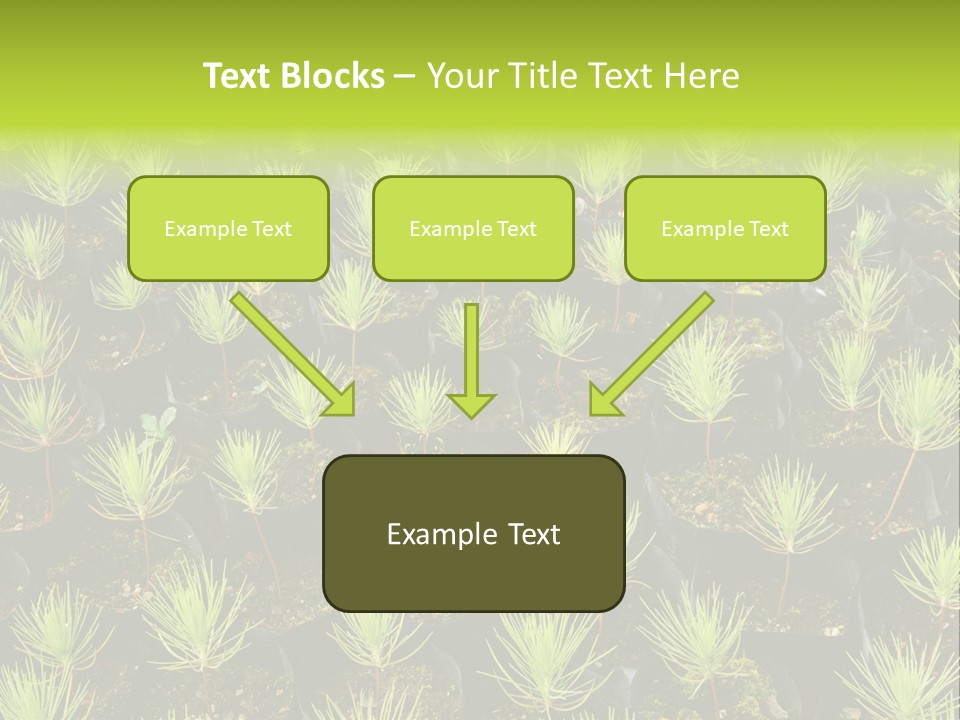 Life Development Gain PowerPoint Template