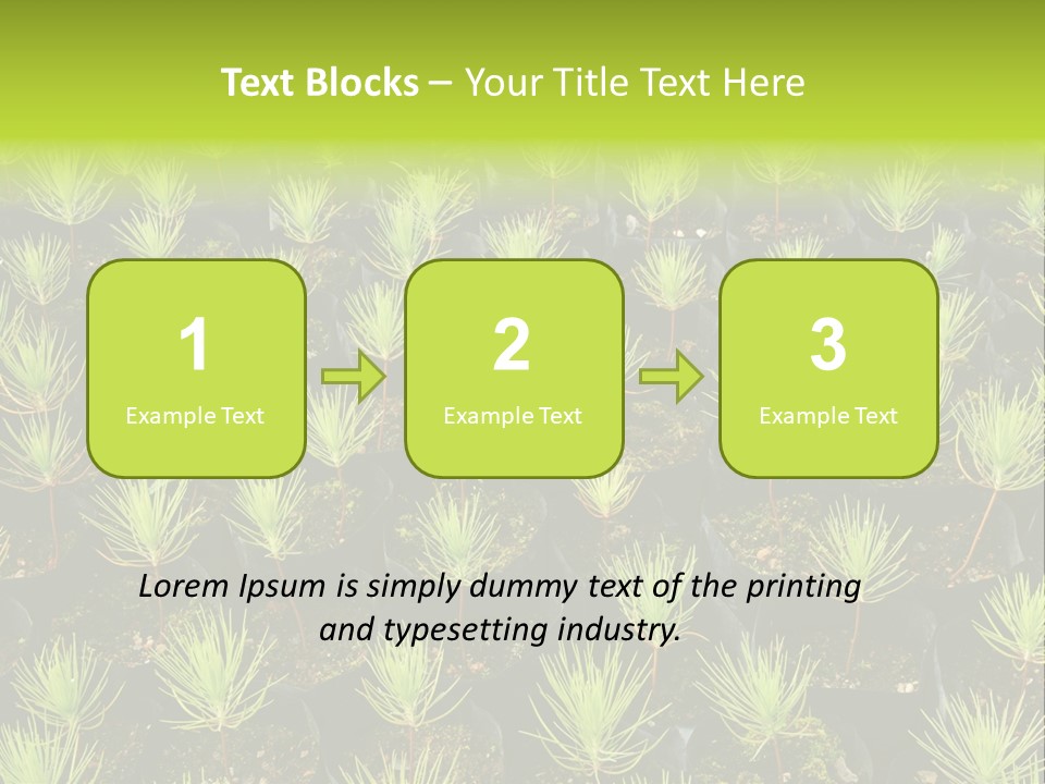 Life Development Gain PowerPoint Template