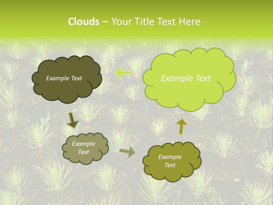 Life Development Gain PowerPoint Template