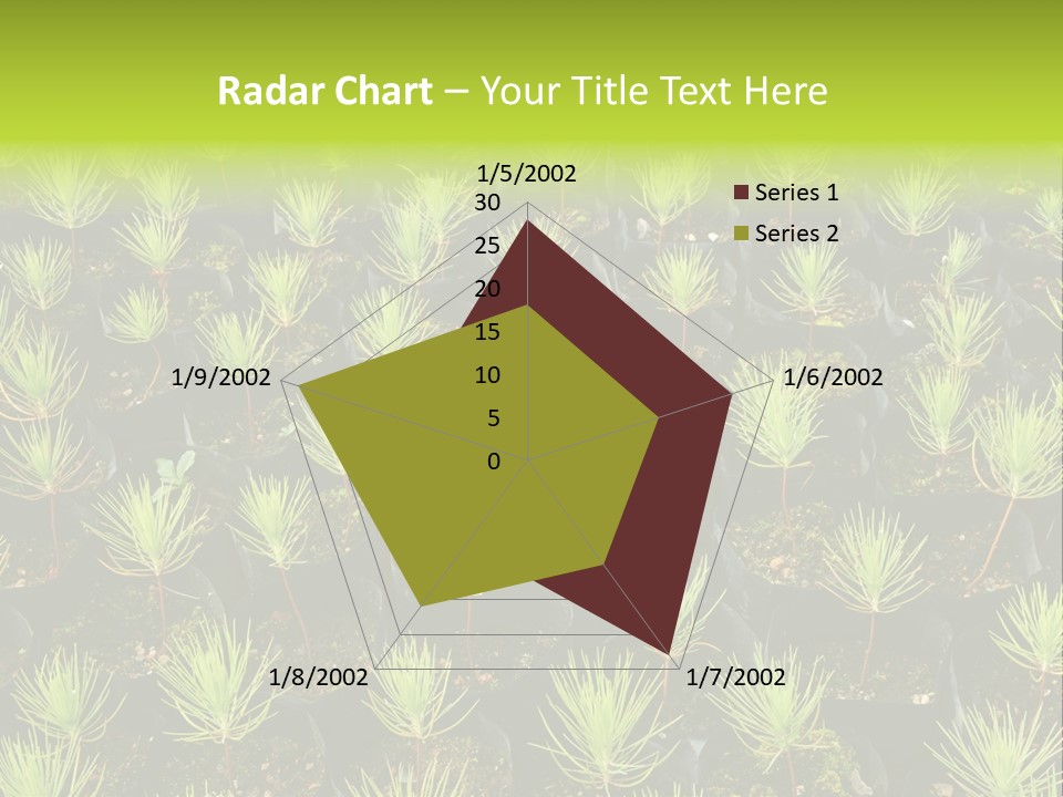 Life Development Gain PowerPoint Template
