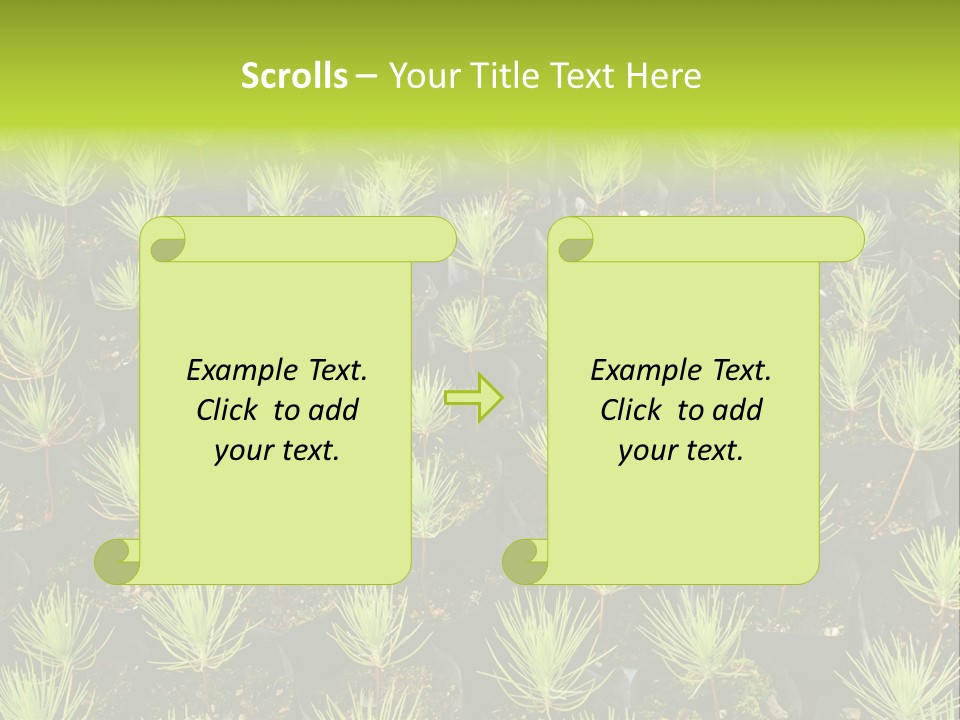 Life Development Gain PowerPoint Template
