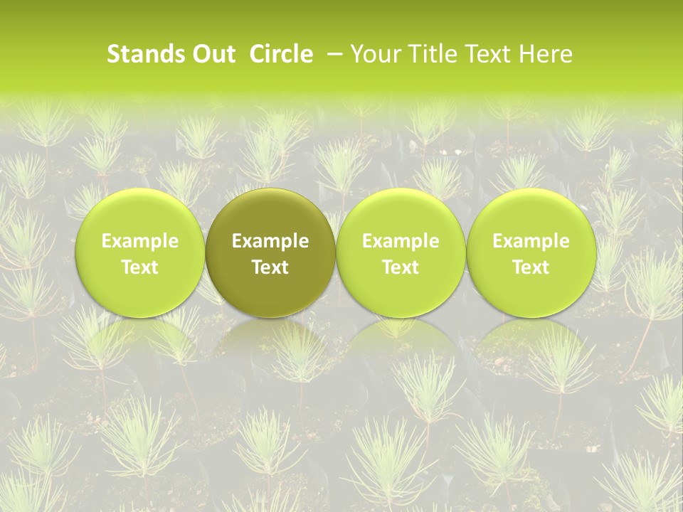 Life Development Gain PowerPoint Template