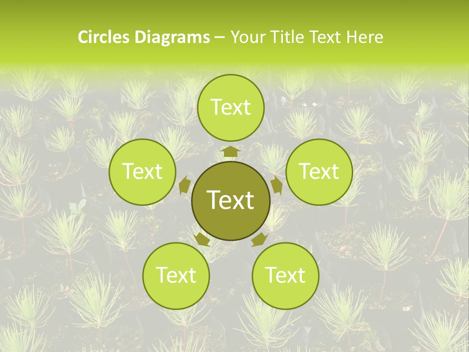 Life Development Gain PowerPoint Template