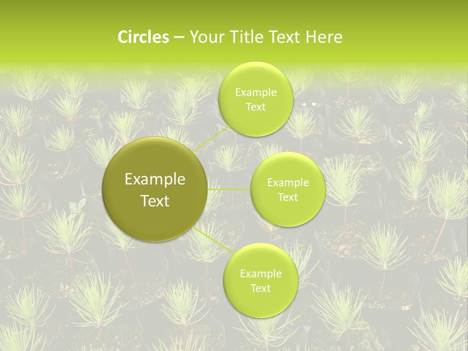 Life Development Gain PowerPoint Template