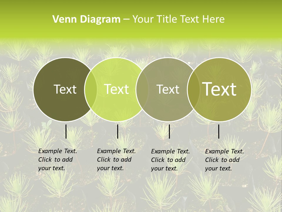 Life Development Gain PowerPoint Template