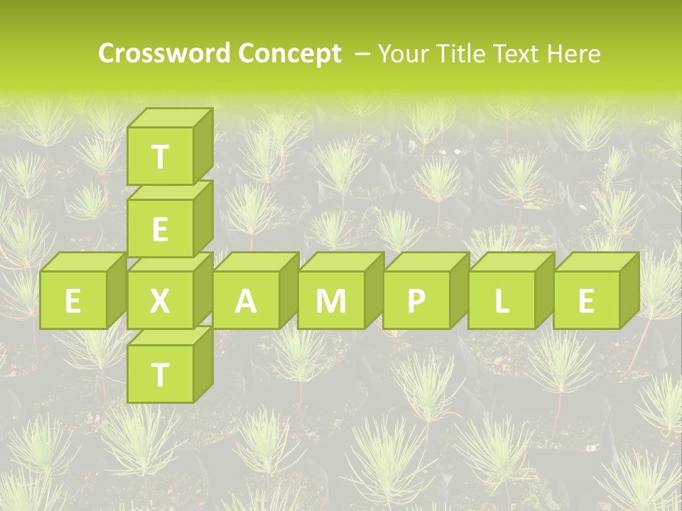 Life Development Gain PowerPoint Template