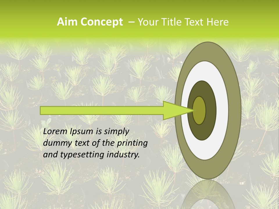 Life Development Gain PowerPoint Template