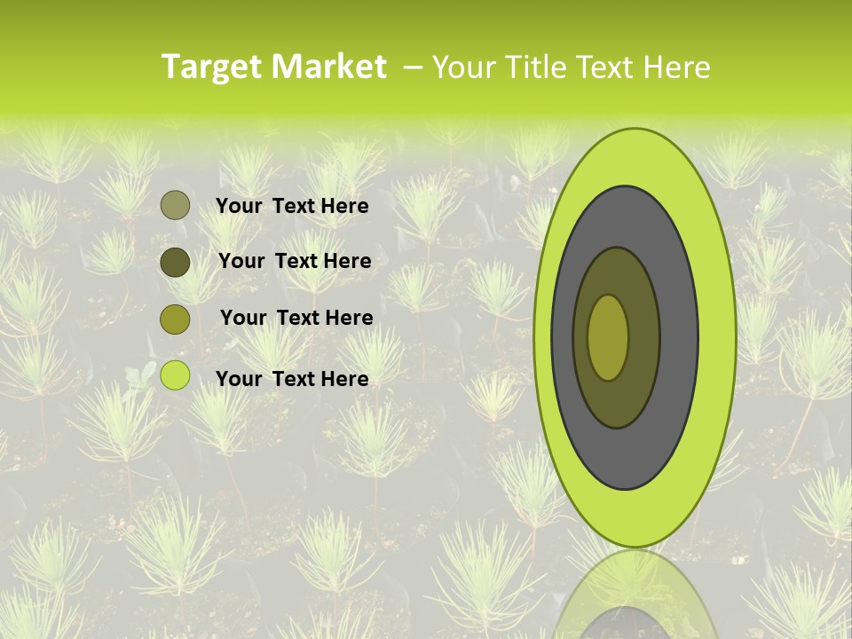 Life Development Gain PowerPoint Template