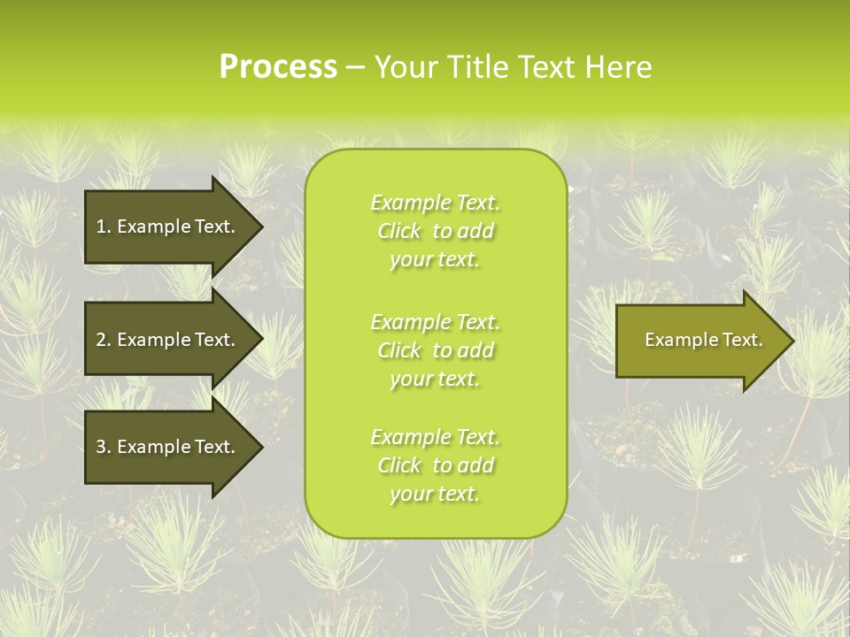Life Development Gain PowerPoint Template