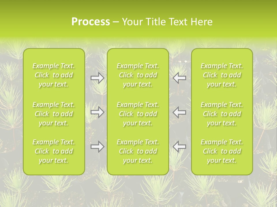 Life Development Gain PowerPoint Template
