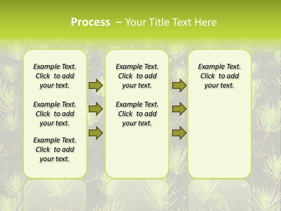 Life Development Gain PowerPoint Template