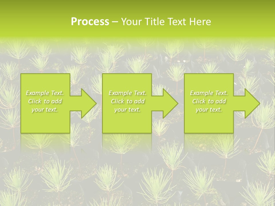 Life Development Gain PowerPoint Template