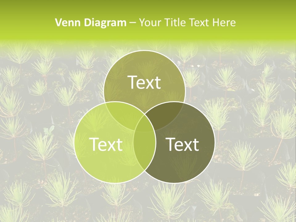 Life Development Gain PowerPoint Template