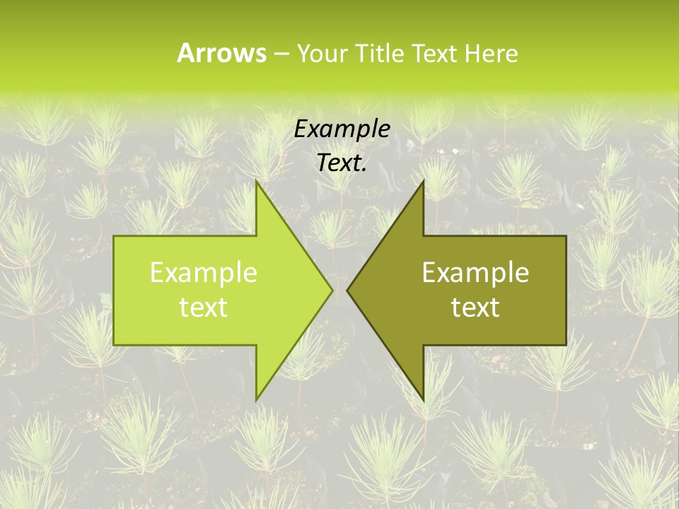 Life Development Gain PowerPoint Template