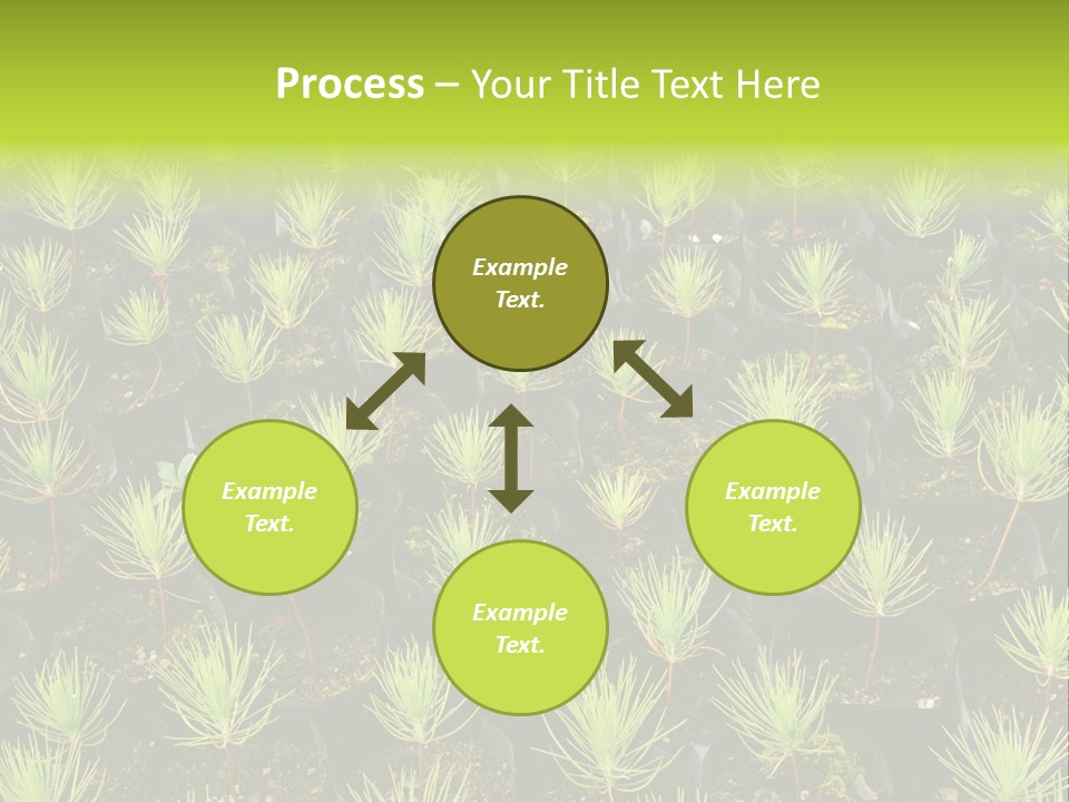 Life Development Gain PowerPoint Template