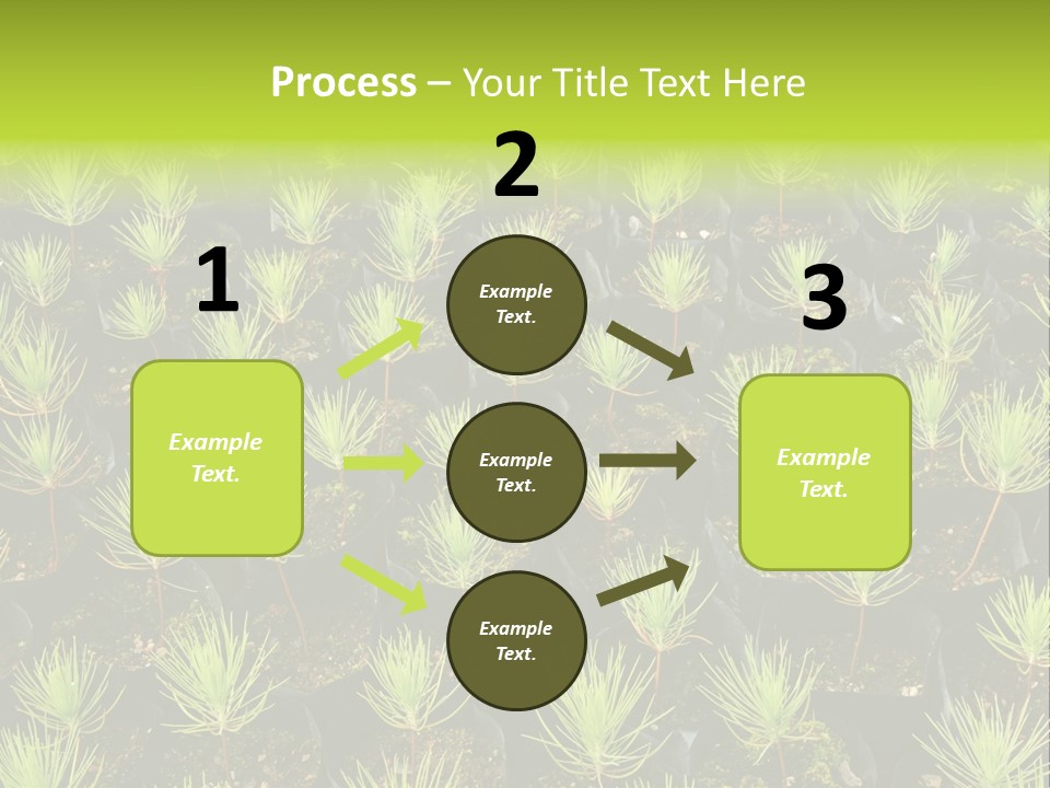 Life Development Gain PowerPoint Template