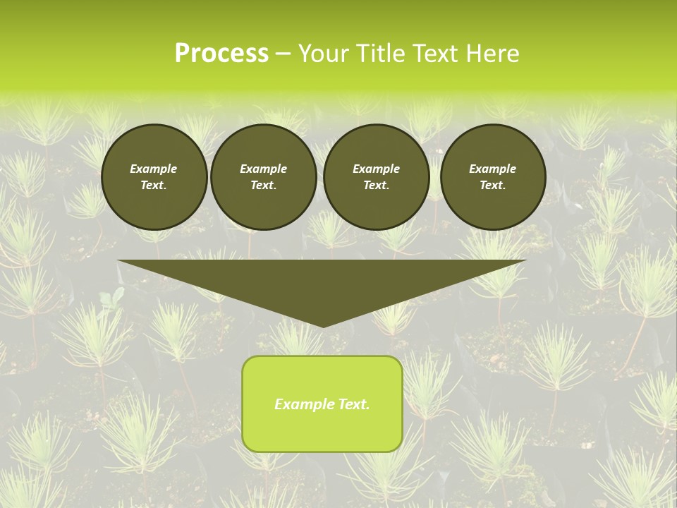 Life Development Gain PowerPoint Template