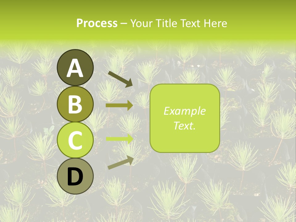 Life Development Gain PowerPoint Template