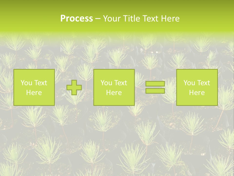 Life Development Gain PowerPoint Template