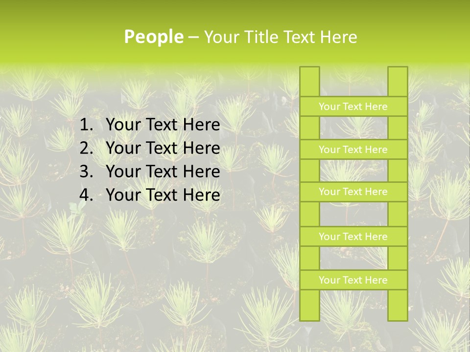 Life Development Gain PowerPoint Template