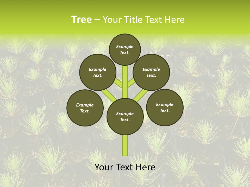 Life Development Gain PowerPoint Template