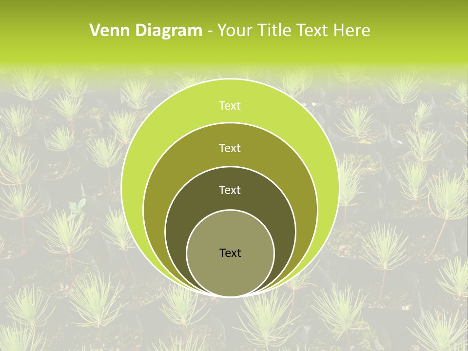 Life Development Gain PowerPoint Template