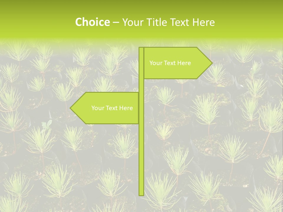 Life Development Gain PowerPoint Template