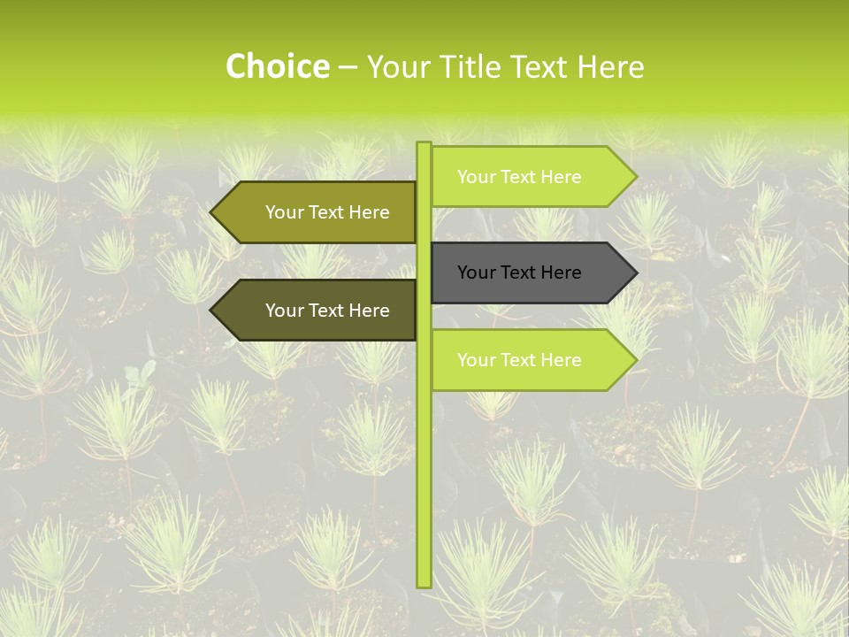 Life Development Gain PowerPoint Template